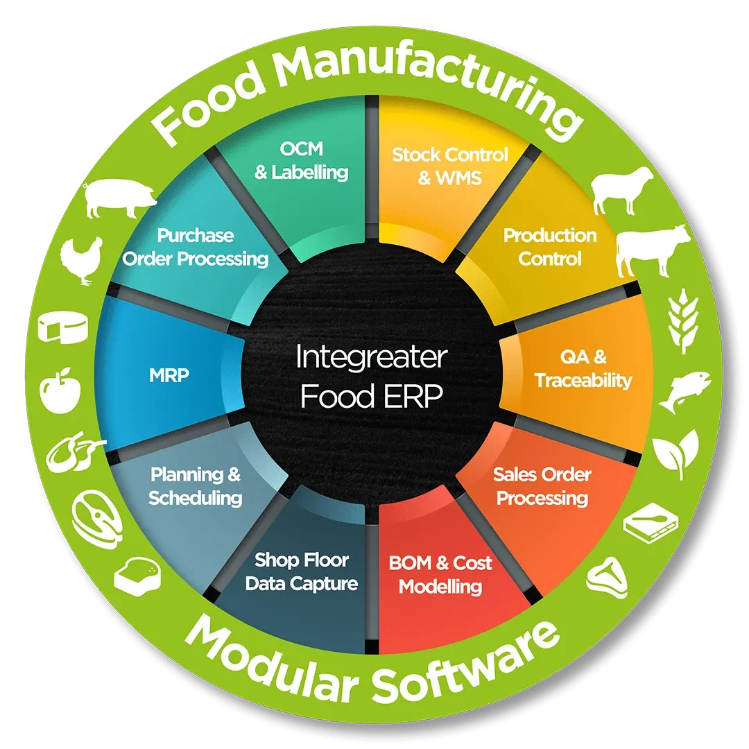 Netsuite Erp Implementations