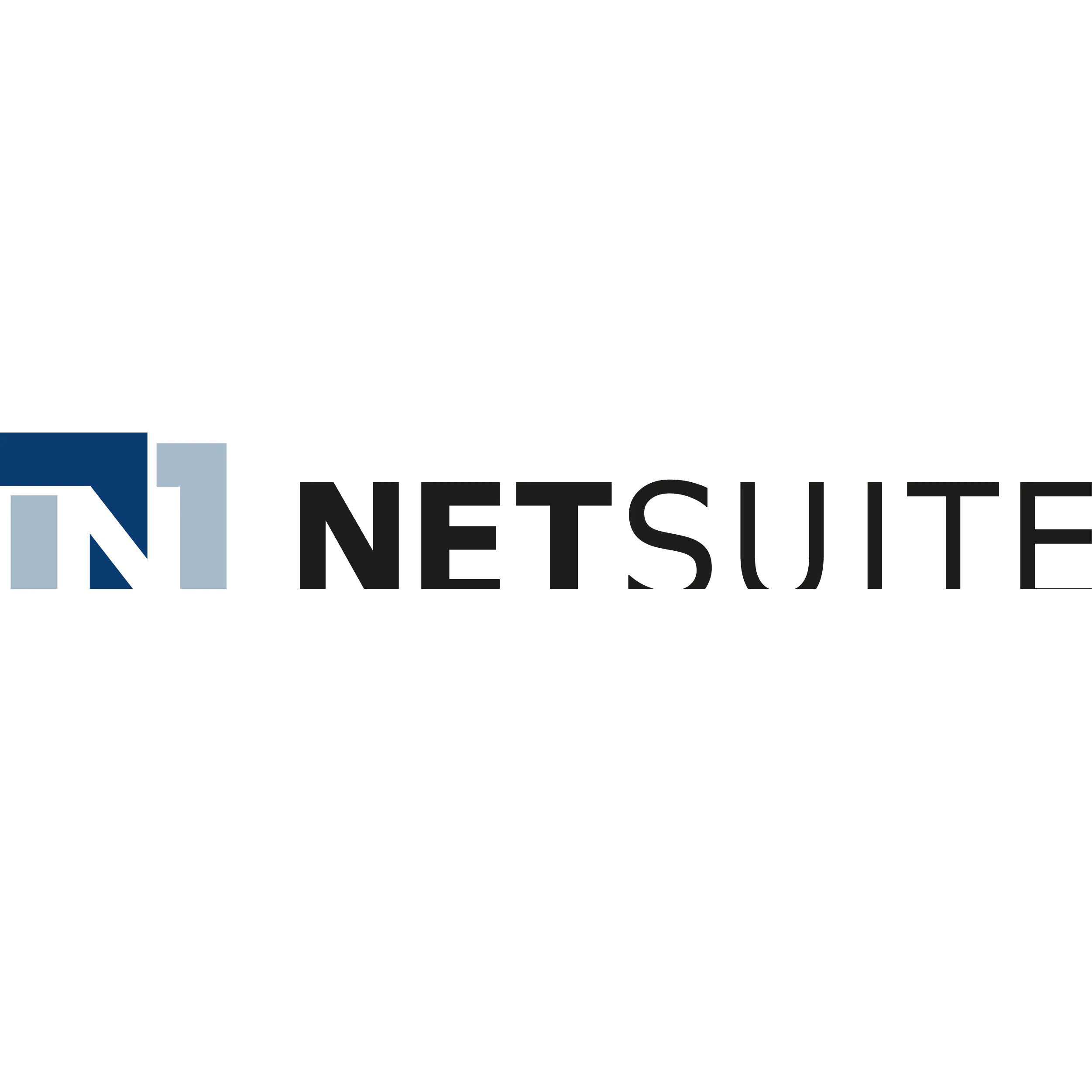 Netsuite ERP Software