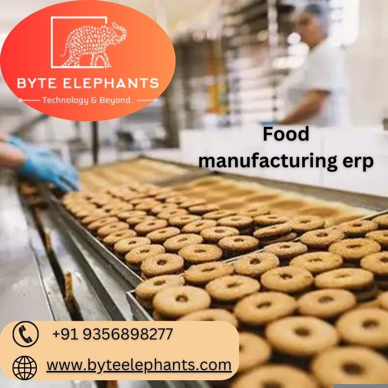 Erp Solutions For Manufacturing